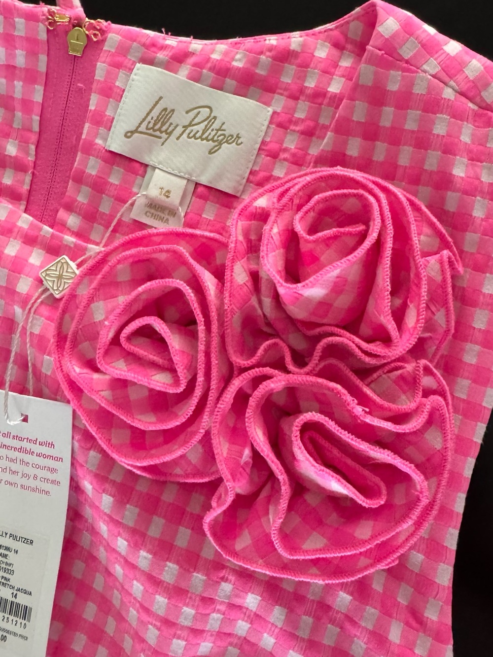 LILLY PULITZER EDITA
STRETCH Pink Gingham Dress with Rosette Accent. NWT Size 14 - Picture 6 of 9